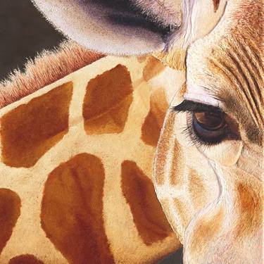 Original Animal Paintings by Russell Hinckley