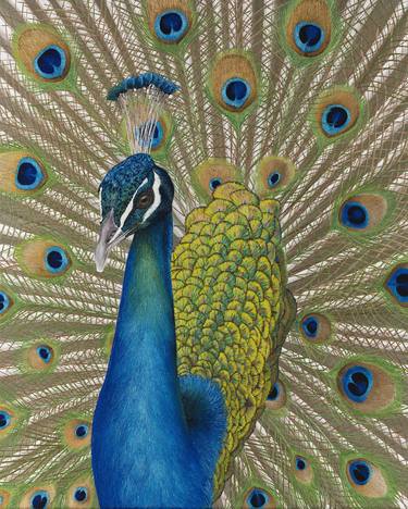 Peacock painting thumb