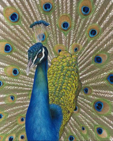 Original Animal Paintings by Russell Hinckley