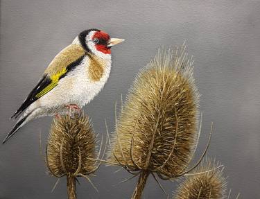 The Goldfinch thumb