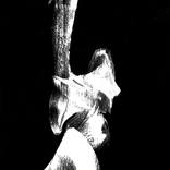 Standing Up For It by Newel Hunter