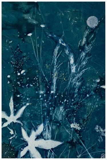 Print of Abstract Botanic Photography by Aline Demarais