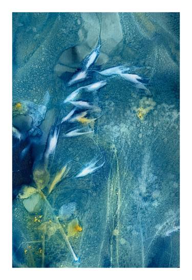 Print of Abstract Nature Photography by Aline Demarais