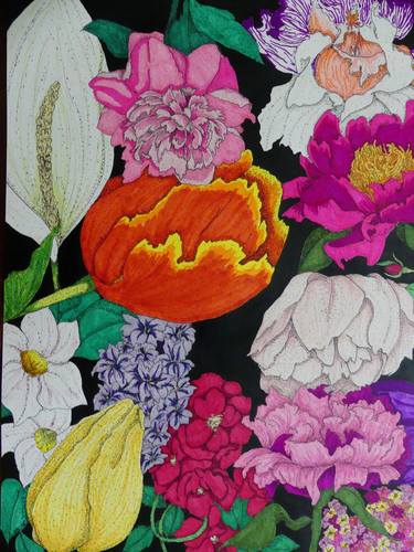 Original Fine Art Floral Drawings by Heidi Vance