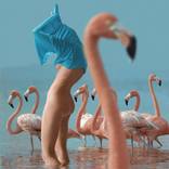 Girl with flamingo by Elena Vizerskaya