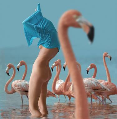 Girl with flamingo image