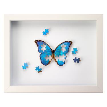The Puzzle . real butterfly framed artwork thumb
