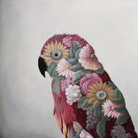 Transgenesis parrot by Gioacchino Saltagrillo Gambatesa
