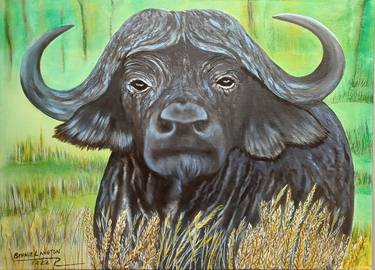 Saatchi Art Artist Bernie Langton; Paintings, “Cape Buffalo” #art