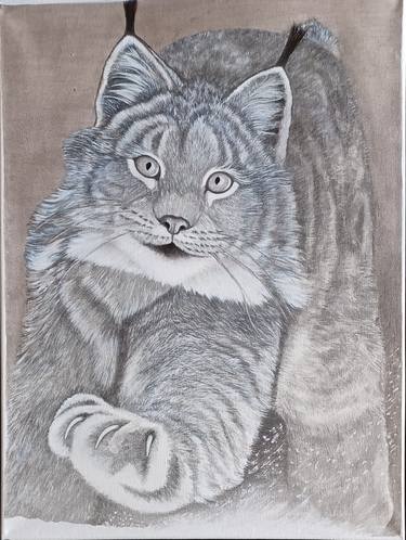 Pencil drawings of animals, Realistic animal drawings, Animal sketches-saigonsouth.com.vn