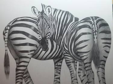 Original Animal Drawings by Bernie Langton