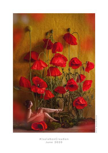 Poppies Miniature - Limited Edition of 10 thumb
