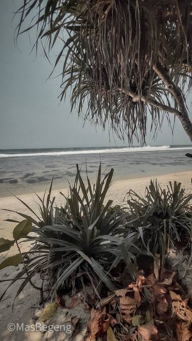 Print of Beach Photography by Mochammad Samba