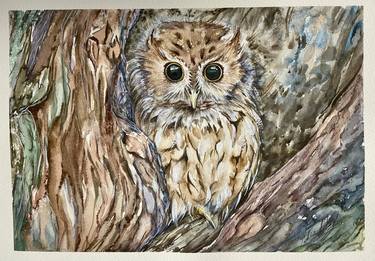 Owl Nature Watercolor original painting thumb