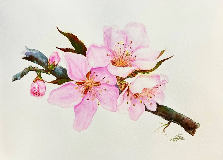 Print of Impressionism Floral Paintings by Elizabeth Altin