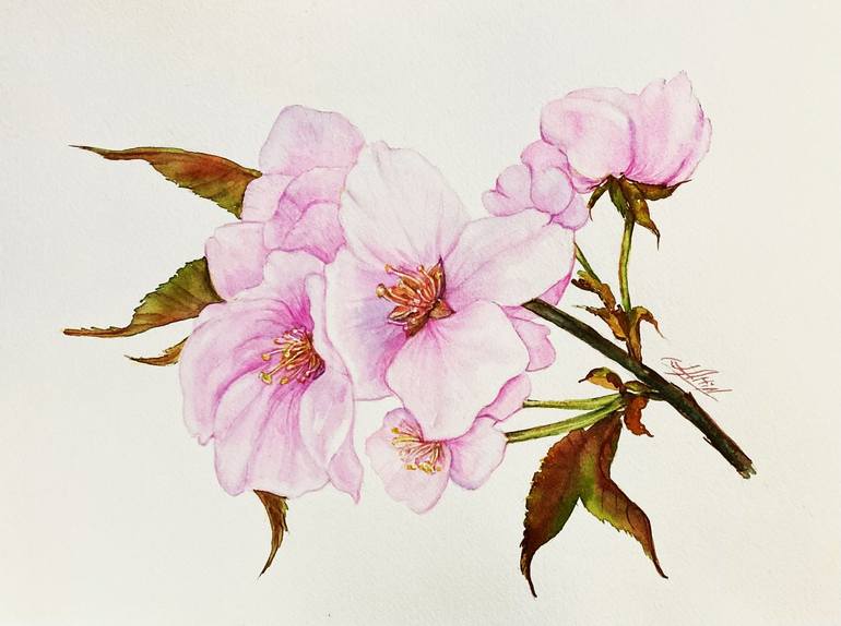 Print of Realism Floral Paintings by Elizabeth Altin
