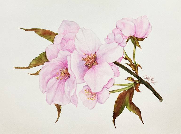 Original Realism Floral Painting by Elizabeth Altin