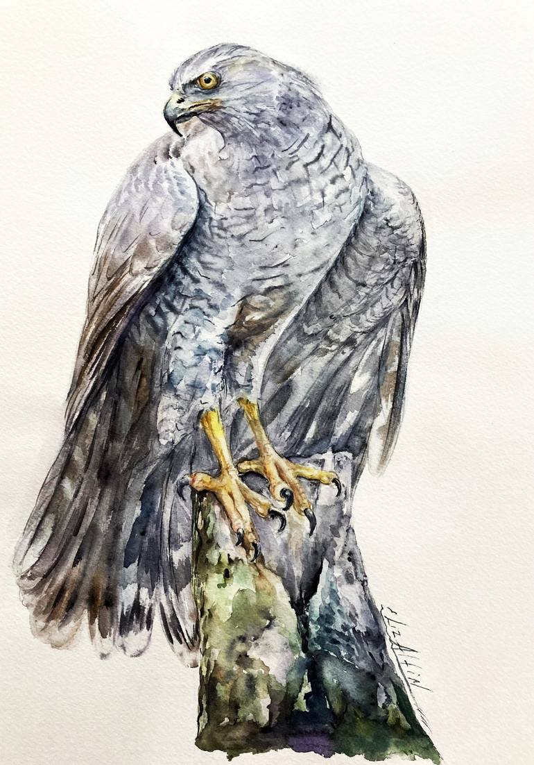 Print of Figurative Animal Paintings by Elizabeth Altin