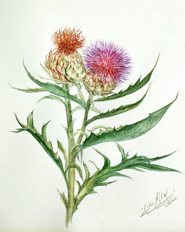 Print of Fine Art Botanic Paintings by Elizabeth Altin