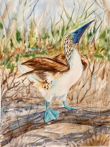 BIRD Blue -Footed BOOBY WATERCOLOR PAINTING thumb