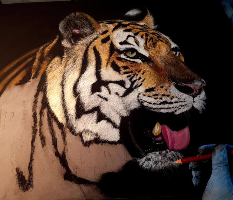 Original Realism Animal Drawing by Deimante Bruzguliene