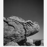 Collection Modern Nudes