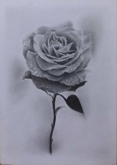 Print of Fine Art Floral Drawings by WH J