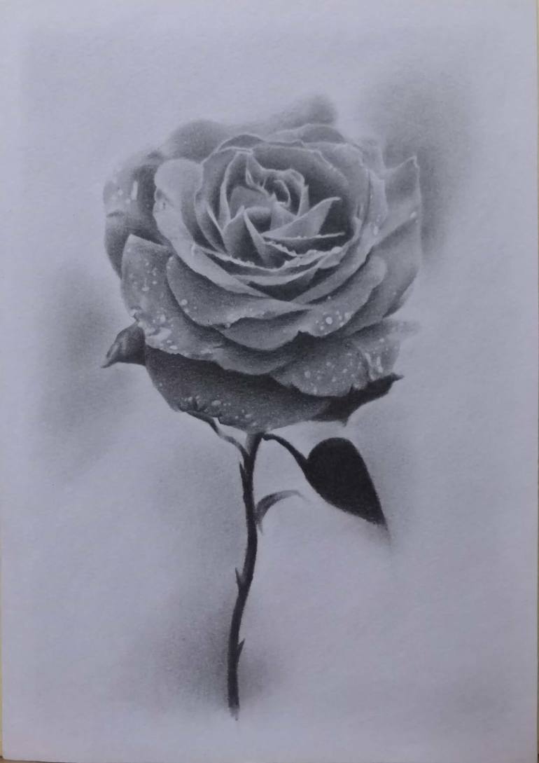 Black Rose Drawing by WH J | Saatchi Art