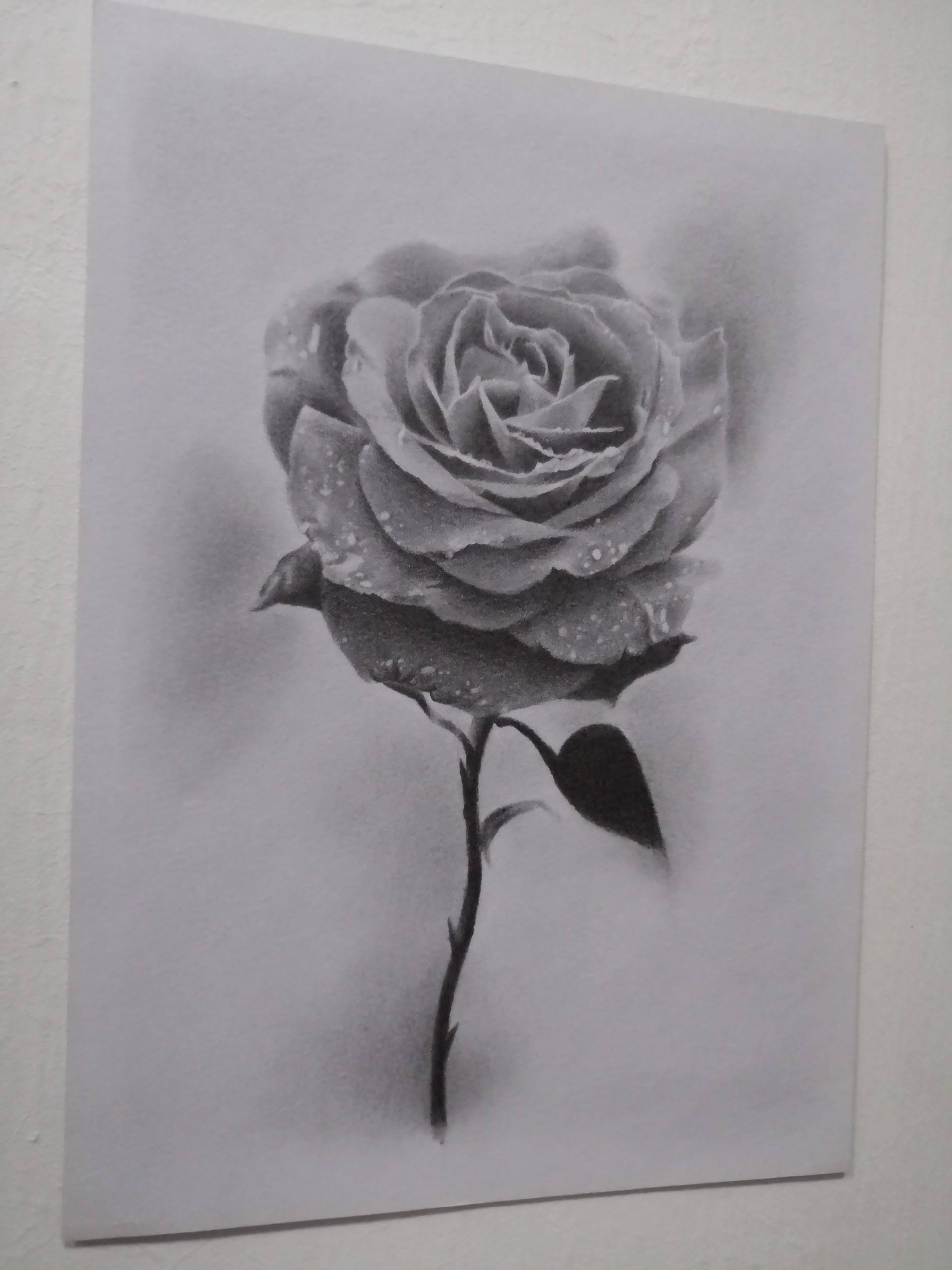 Black Rose Drawing By Wh J Saatchi Art