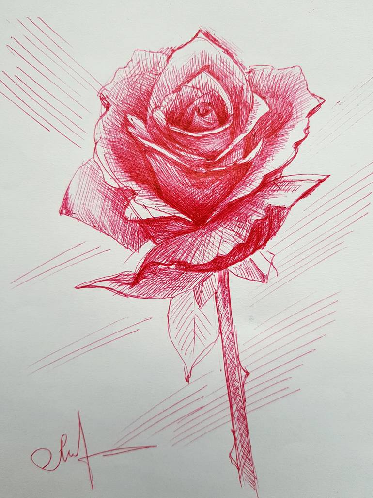 Rose red pen drawing Drawing by Tigran Movsisyan | Saatchi Art