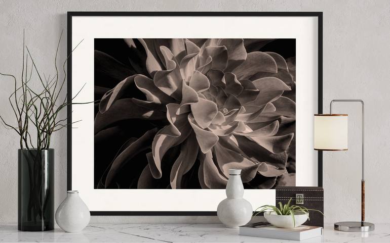 Original Black & White Botanic Photography by Brandon LeValley