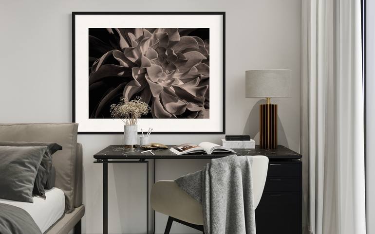 Original Black & White Botanic Photography by Brandon LeValley