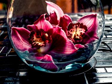 Orchids in a Bowl thumb