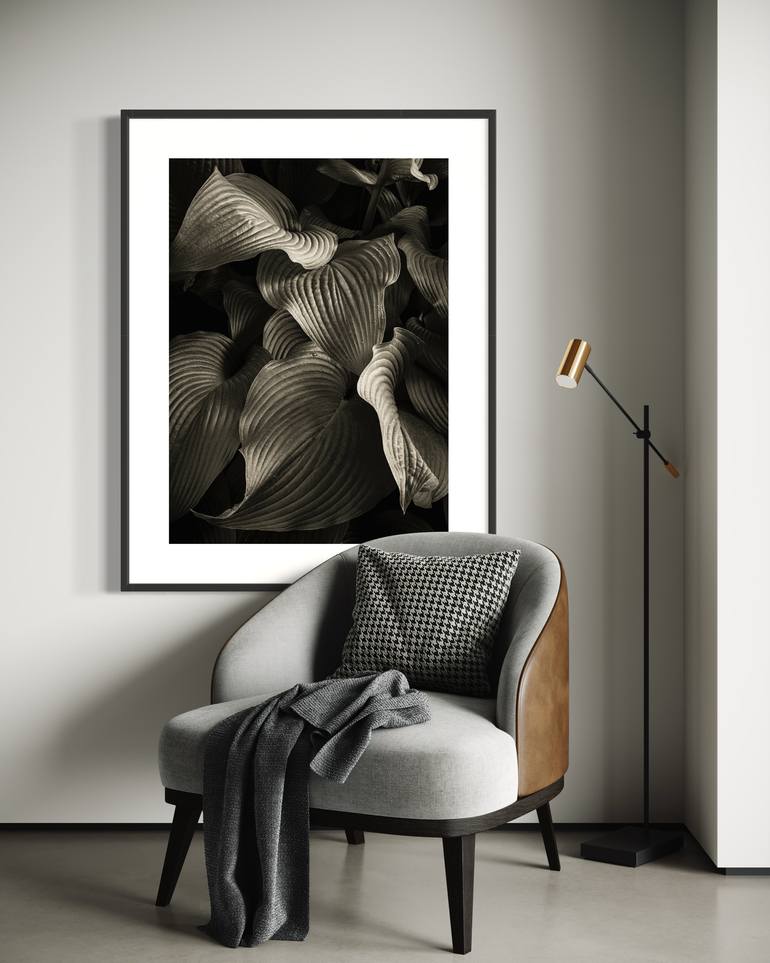 Original Fine Art Botanic Photography by Brandon Levalley