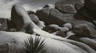 Original Fine Art Landscape Photography by Brandon LeValley