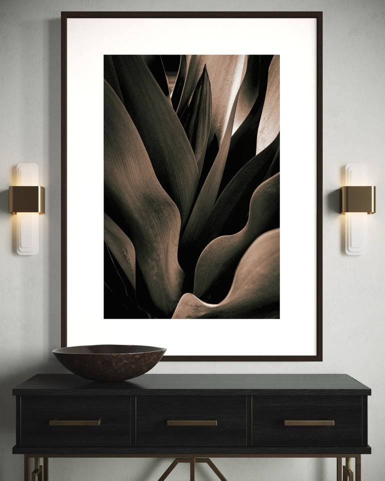 Original Other Botanic Photography by Brandon Levalley