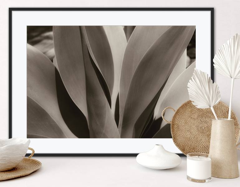 Original Fine Art Botanic Photography by Brandon LeValley