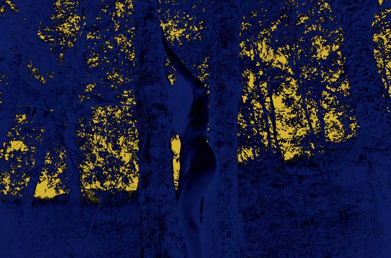 Original Conceptual Nude Photography by Luna Er