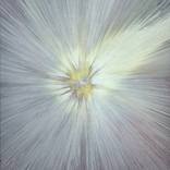 Collection Karen Robinovitz (Chief Creative Officer)