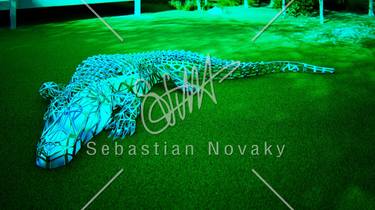 Original Abstract Animal Sculpture by Sebastian Novaky