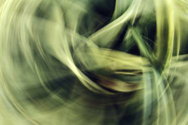 Original Fine Art Abstract Photography by Coralie Sneddon