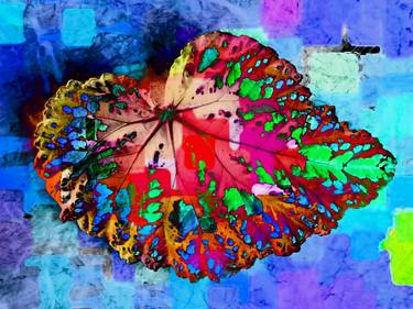 Impressionist Begonia Leaf 2 - Limited Edition of 5 thumb