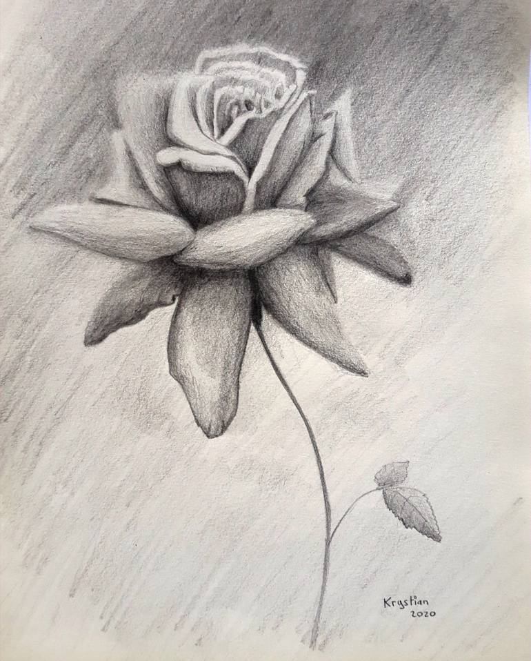 ROSE Drawing by krystian padovani | Saatchi Art