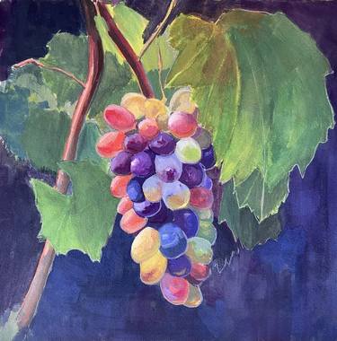 Grapes of Provence, gouache on paper, 2023 thumb