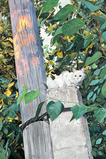 Original Cats Paintings by Adema Kuanysh
