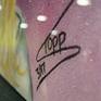 Signature Close Up