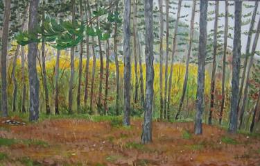Original Impressionism Landscape Paintings by Nataliya Elistratova