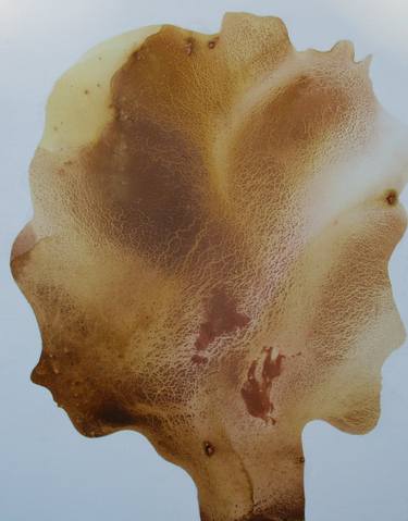 Mother Nature (Profile III in Gold Leaf) thumb
