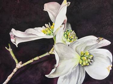 Original Realism Floral Paintings by Deanna Pickett Frye