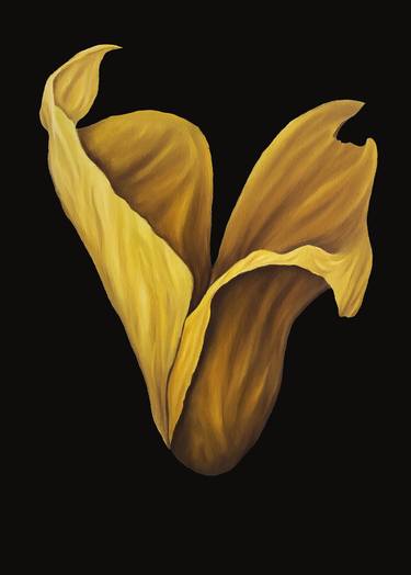 Dancing drapery yellow Tulip thumb